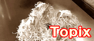 トピックスの紹介ページ