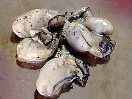 牡蠣はたっぷり入ります